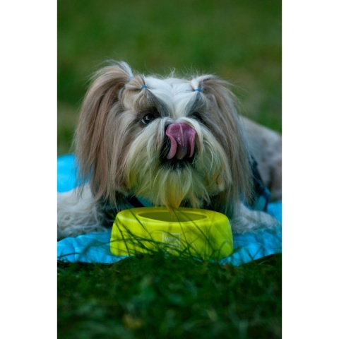 Collar Waudog Miska niewysypka dla psa Silicone 750 ml - żółta
