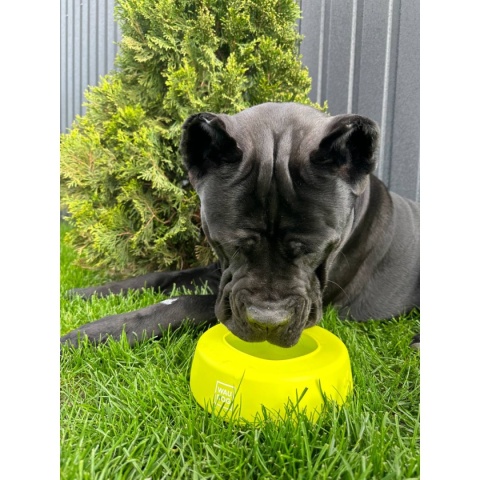 Collar Waudog Miska niewysypka dla psa Silicone 750 ml - żółta