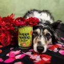 DOG'S LOVE Springs Menu Lamm - jagnięcina z gruszką i botwinką 400g