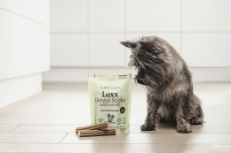 GLOBE BUDDY Luxx Dental Sticks - patyczki dentystyczne dla psa 250g