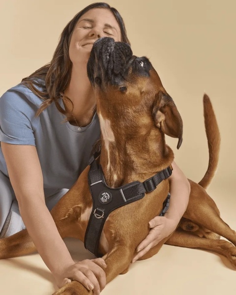 Szelki dla psa TRE PONTI Harmonia Czarne z odblaskiem L bez metki