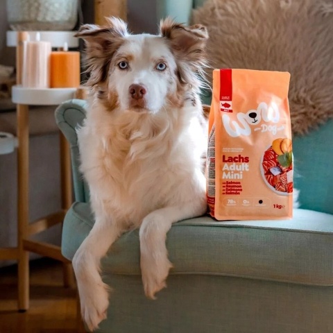 WOW DOG MINI Lachs - z łososiem, szpinakiem i batatami dla psów małych ras 1kg