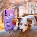 WOW DOG MINI Lamm - z jagnięciną, batatami i cukinią dla psów małych ras 1kg