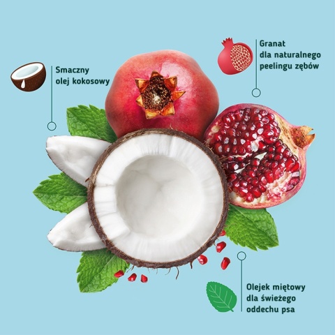 WOW DOG Natural Dentals Maxi - gryzaki dentystyczne dla psa 230g