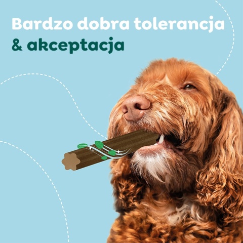 WOW DOG Natural Dentals Maxi - gryzaki dentystyczne dla psa 230g