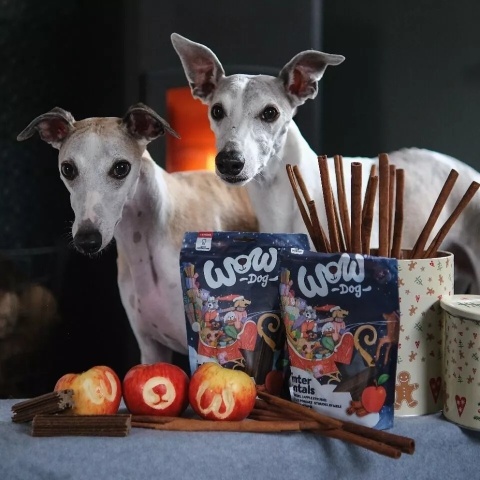 WOW Dog Winter Dentals Sticks – świąteczne gryzaki dla psa 250g