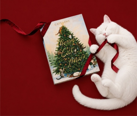 CAT'S LOVE kalendarz adwentowy dla kota 2026 – liofilizowane przysmaki 48 g