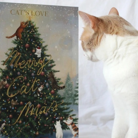 CAT'S LOVE kalendarz adwentowy dla kota 2026 – liofilizowane przysmaki 48 g
