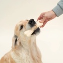 DOG'S LOVE Smart Chew Collagen Maxi - gryzaki kolagenowe 2 szt.x65g