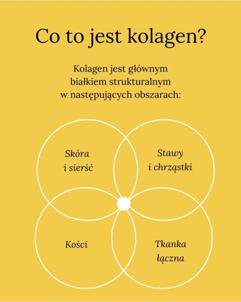 DOG'S LOVE Smart Chew Collagen Small 3 x 15 g – gryzaki kolagenowe dla małych psów