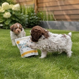 DOG'S LOVE Training Treats Puppy Huhn 150 g – miękkie przysmaki treningowe dla szczeniąt z kurczakiem i marchewką, bez gliceryny