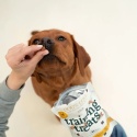 DOG'S LOVE Training Treats Puppy Huhn 150 g – miękkie przysmaki treningowe dla szczeniąt z kurczakiem i marchewką, bez gliceryny
