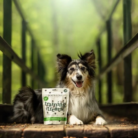 DOG'S LOVE Training Treats Hirsch 150 g – miękkie przysmaki treningowe z jeleniem i dynią, bez gliceryny