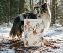 DOG'S LOVE kalendarz adwentowy dla psa 2026 168 g z ekologicznymi przysmakami