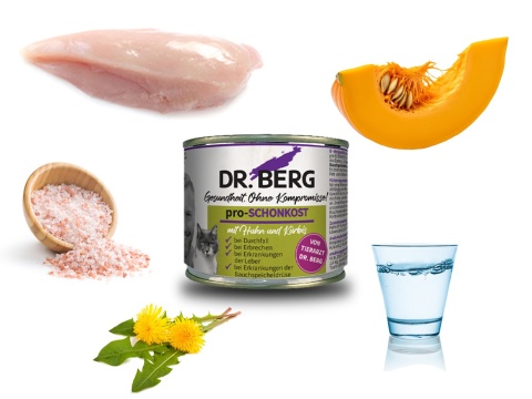 Dr. BERG Pro-SCHONKOST kurczak z dynią 200 g x 6 szt. – karma weterynaryjna dla kota na problemy żołądkowo-jelitowe