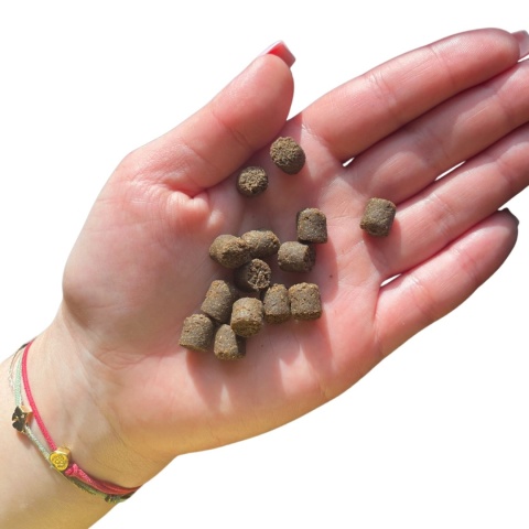 FARMA z Jagnięciną dla szczeniąt 2 kg – karma tłoczona na zimno