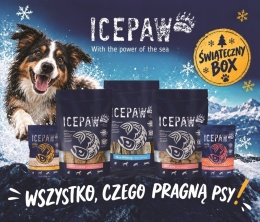 ICEPAW Christmas Box – świąteczny zestaw dla psa z rybnymi przysmakami i karmą 550 g