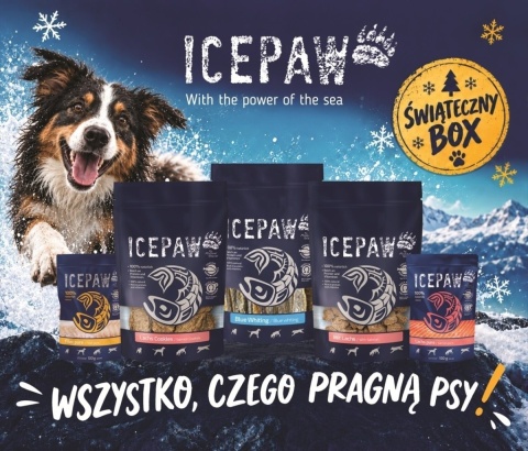 ICEPAW Christmas Box – świąteczny zestaw dla psa z rybnymi przysmakami i karmą 550 g