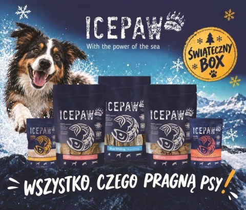ICEPAW Christmas Box – świąteczny zestaw dla psa z rybnymi przysmakami i karmą 550 g