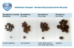 RENSKE Adult Dog Fresh Ocean Fish – sucha karma ze świeżymi rybami oceanicznymi 6,5 kg