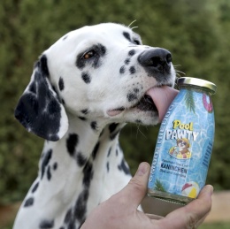 SmoothieDOG Pool Pawty - królik z warzywami i owocami 250ml
