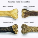 Syta Micha Sheep Line Kość do żucia Owca w skórze łososia z jeżyną 12 cm
