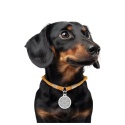 WAUDOG Smart ID złoty sznurek dla adresówki z paracordu odblaskowy 25-45 cm