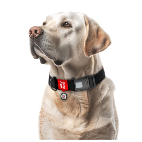 WAUDOG Waterproof obroża wodoodporna dla psa z QR-paszportem XXL 40 mm 46–70 cm czarna