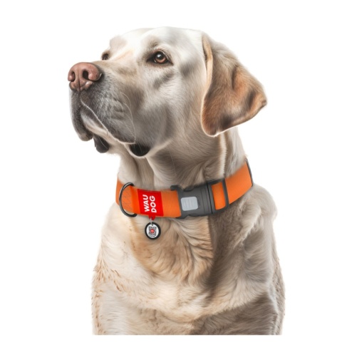 WAUDOG Waterproof obroża wodoodporna dla psa z QR-paszportem, XXL, 40 mm, 46–70 cm, pomarańczowa