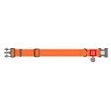 WAUDOG Waterproof obroża wodoodporna dla psa z QR-paszportem, XXL, 40 mm, 46–70 cm, pomarańczowa