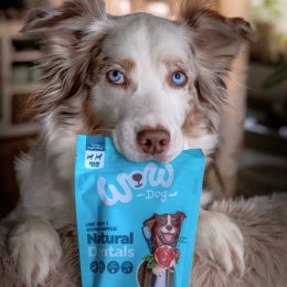 WOW DOG Natural Dentals Maxi - gryzaki dentystyczne dla psa 230g