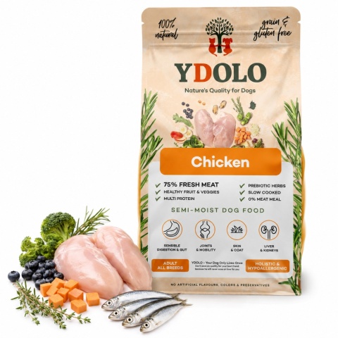 YDOLO Chicken 2,5 kg półwilgotna karma dla psa z kurczakiem i rybami morskimi