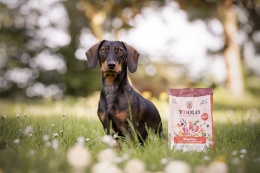 YDOLO MINI Iberico 700 g – półwilgotna karma monobiałkowa dla małych psów
