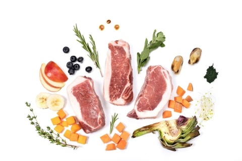 YDOLO MINI Iberico 700 g – półwilgotna karma monobiałkowa dla małych psów