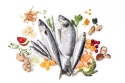 YDOLO MINI Wild Fish 700 g – półwilgotna karma rybna dla małych psów