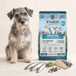 YDOLO MINI Wild Fish 700 g – półwilgotna karma rybna dla małych psów