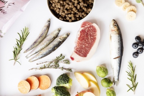 YDOLO MINI Puppy 700 g – półwilgotna karma dla szczeniąt małych ras z Iberico i rybami