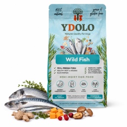 YDOLO Wild Fish 10 kg – półwilgotna karma dla psa z rybami morskimi