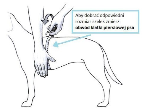 Szelki TRE PONTI Easy Fit bez regulacji Czerwone Szelki TRE PONTI Easy Fit bez regulacji Czerwone