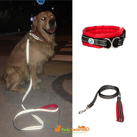 All For Dogs obroża dla psa odblaskowa Czerwona M All For Dogs obroża dla psa odblaskowa Czerwona M
