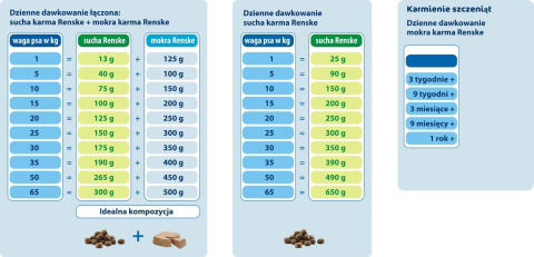 Renske Adult Dog fresh salmon - świeży łosoś bez zbóż 12 kg Renske Adult Dog fresh salmon - świeży łosoś bez zbóż 12 kg