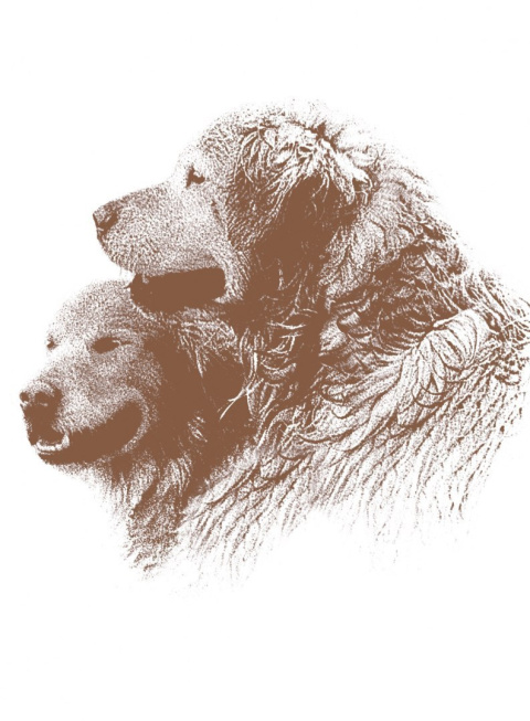 Renske Dog BIO wołowina 9x300 g Renske Dog BIO wołowina 9x300 g