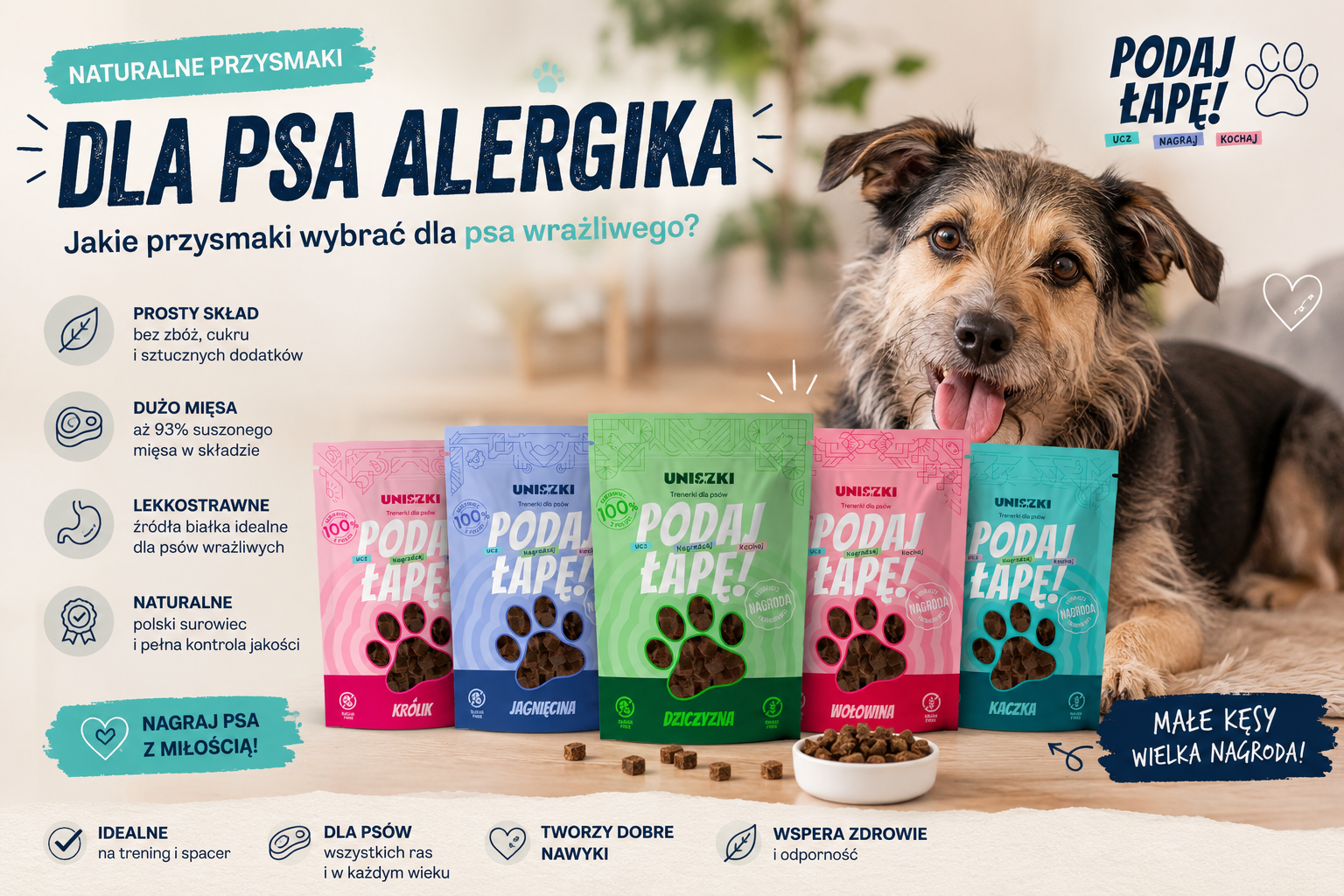 Jakie przysmaki wybrać dla psa alergika? Przewodnik dla opiekunów psów wrażliwych