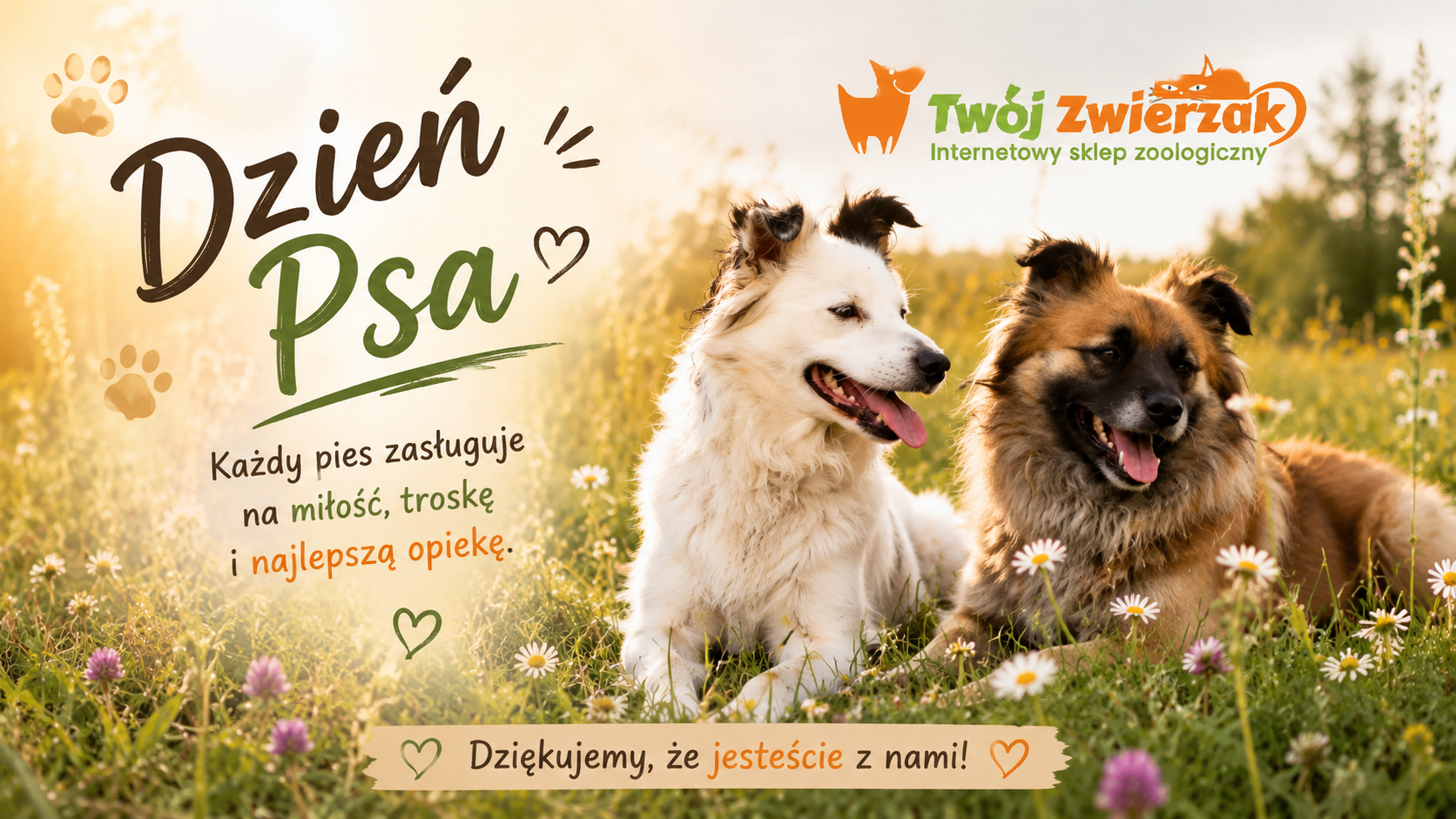 Dzień Psa – święto naszych najwierniejszych przyjaciół