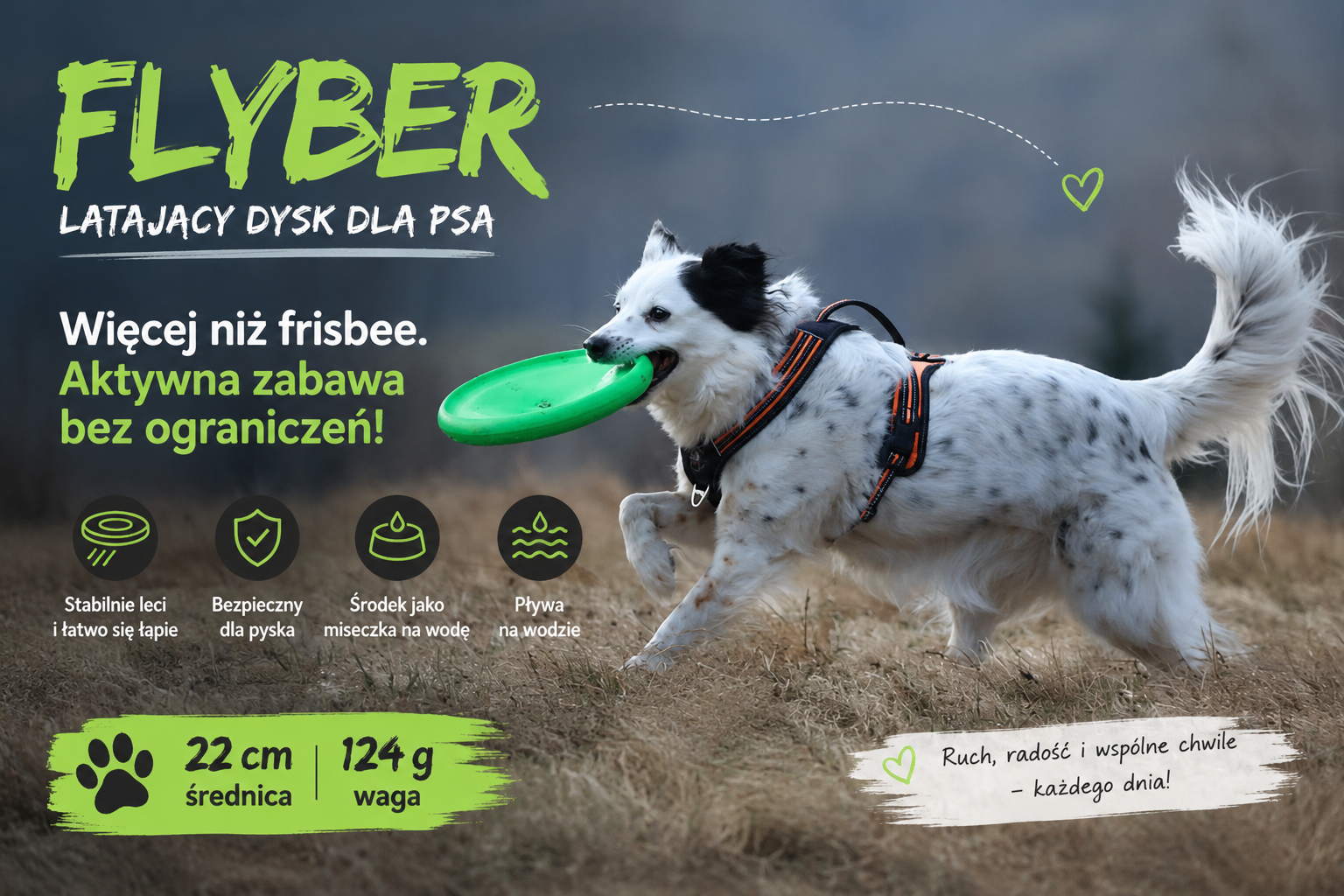 FLYBER – więcej niż frisbee. Aktywna zabawa, którą pokocha Twój pies!