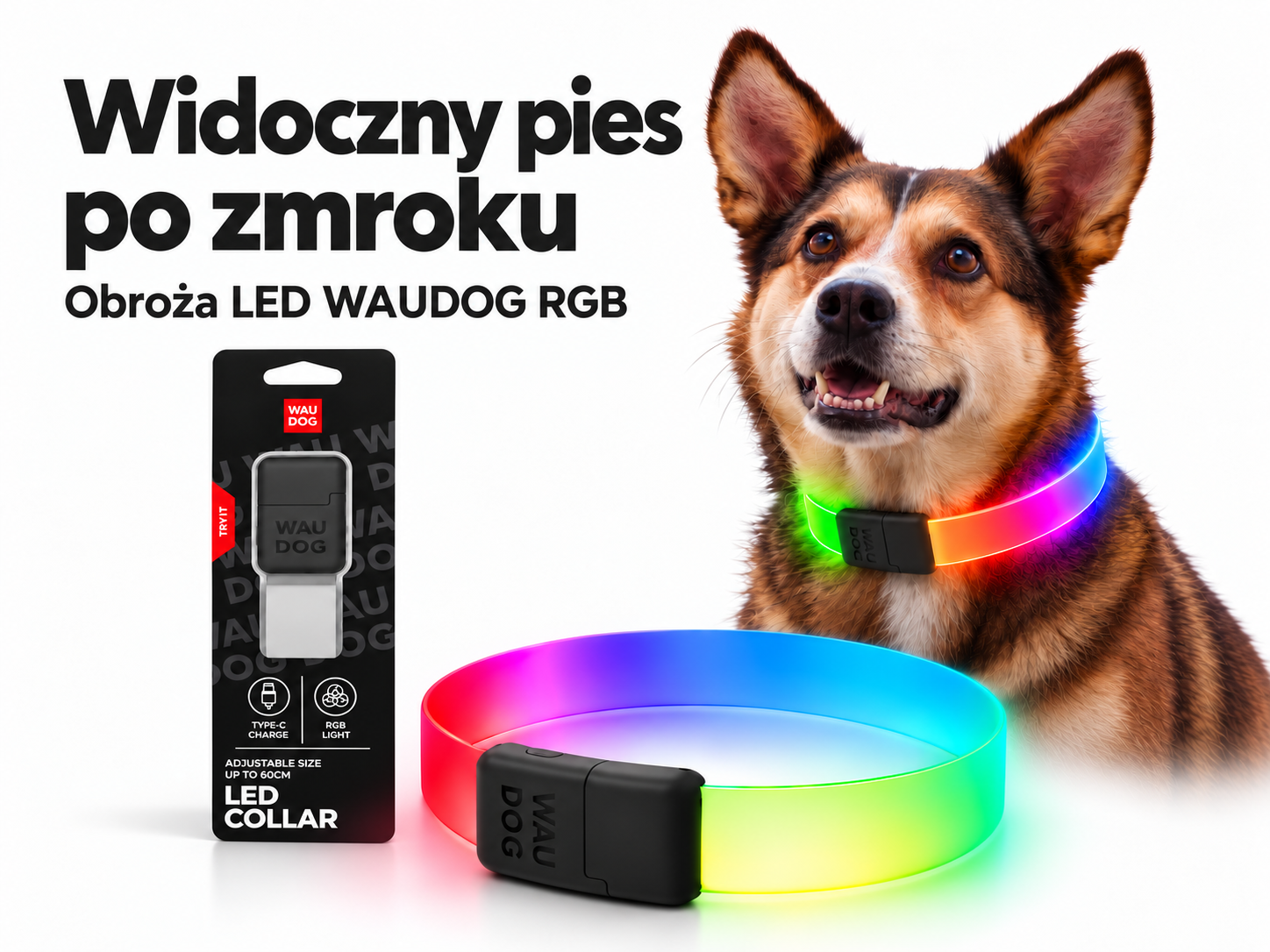 Obroża LED dla psa – jak zadbać o widoczność po zmroku? WAUDOG na naszych spacerach