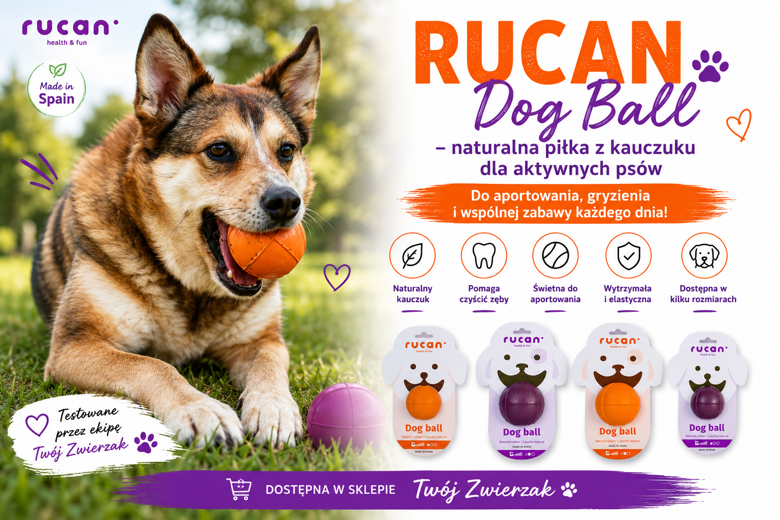 Dlaczego warto wybrać RUCAN Dog Ball?