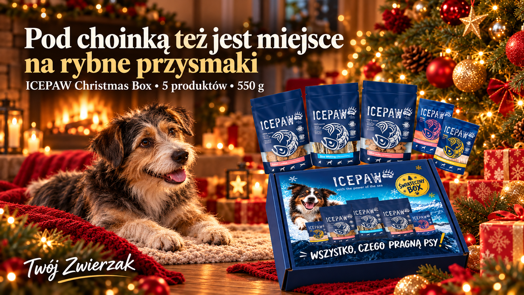 Co podarować psu, który uwielbia ryby? Poznaj ICEPAW Christmas Box
