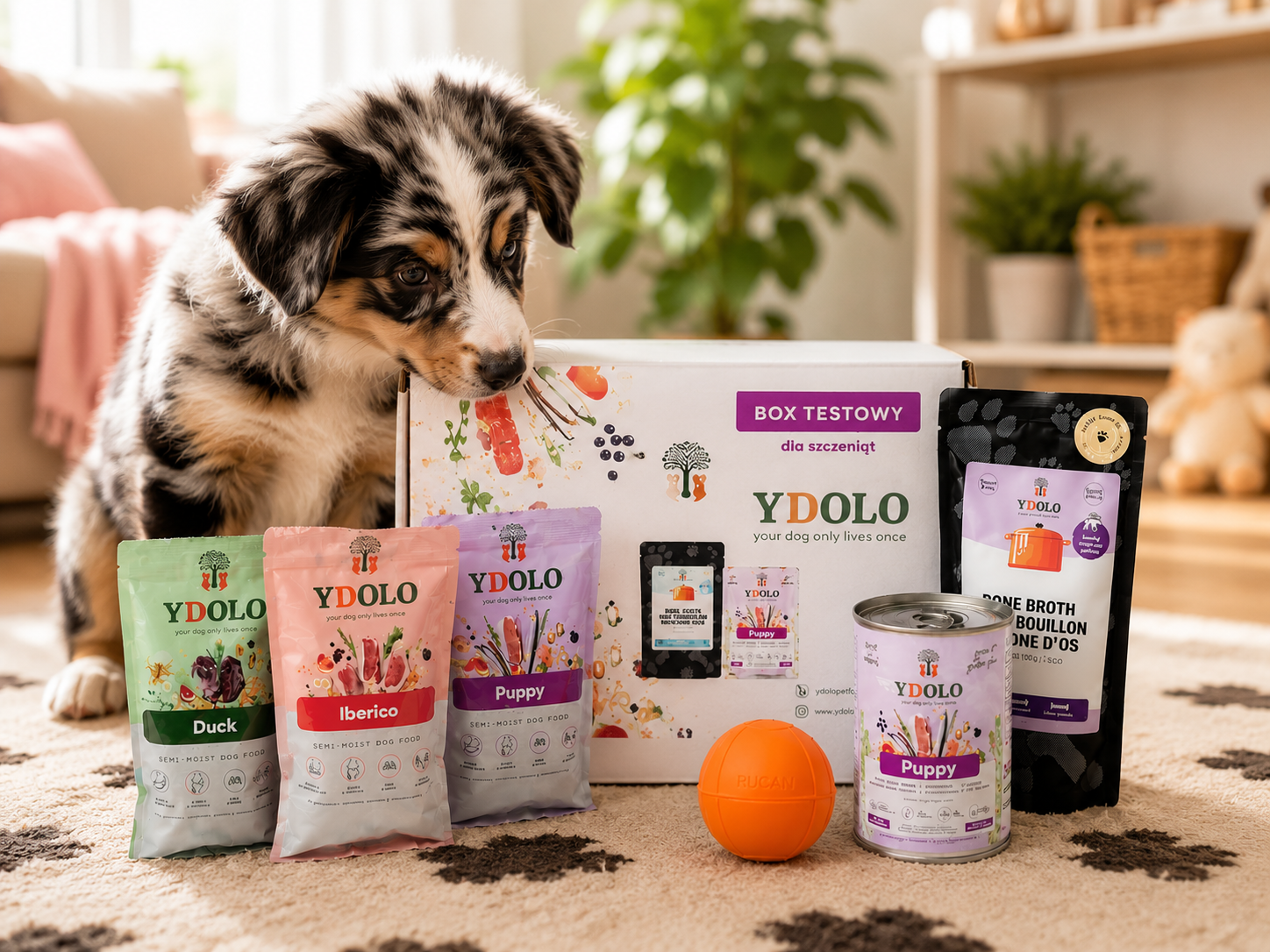 YDOLO Puppy Box – idealny zestaw startowy dla szczeniaka + zabawka GRATIS