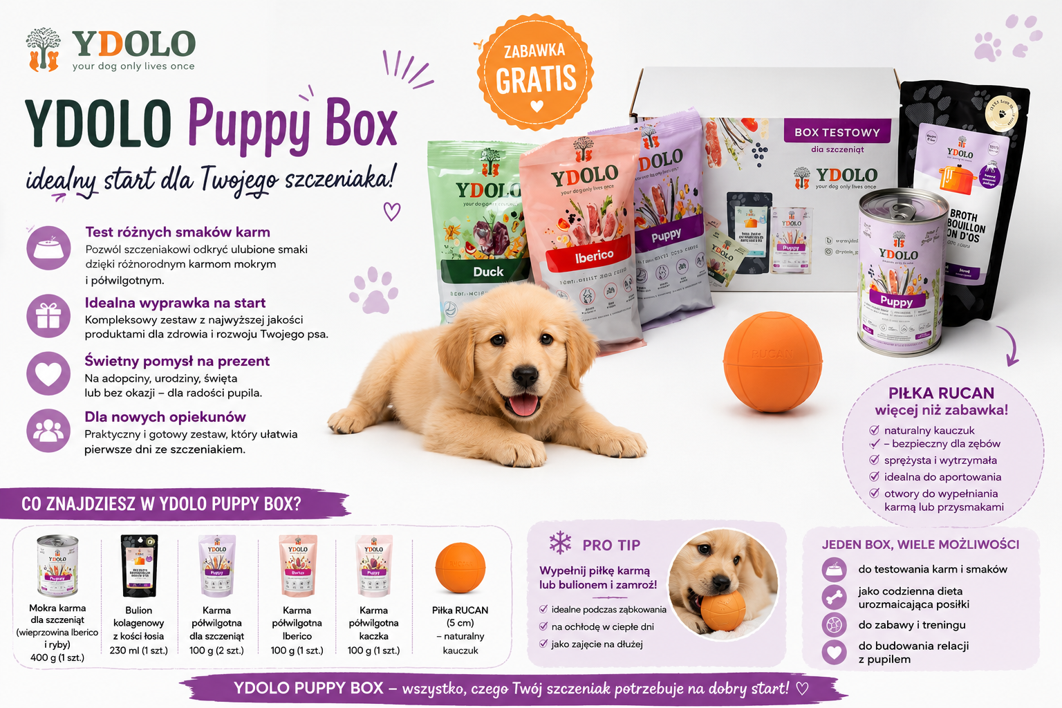 Zestaw dla szczeniaka YDOLO Puppy